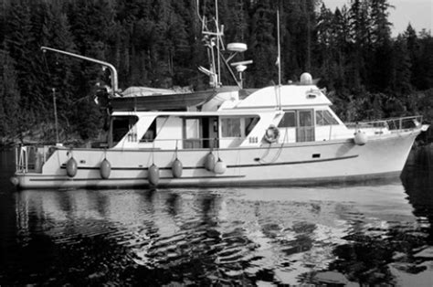 Whale Watching Vancouver Island News Events Travel Accommodation