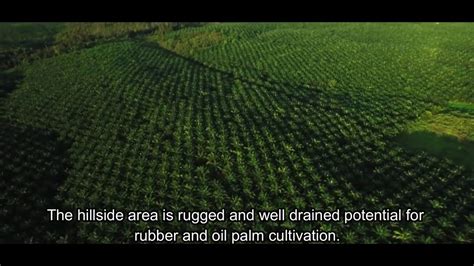 Sekitar sungai bertanah pamah dan berdataran. Kepentingan Tanah Pamah di Malaysia - YouTube