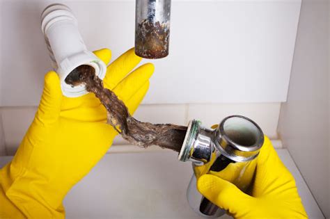 Common Causes Of Clogged Drains — And How Professional Drain Cleaning