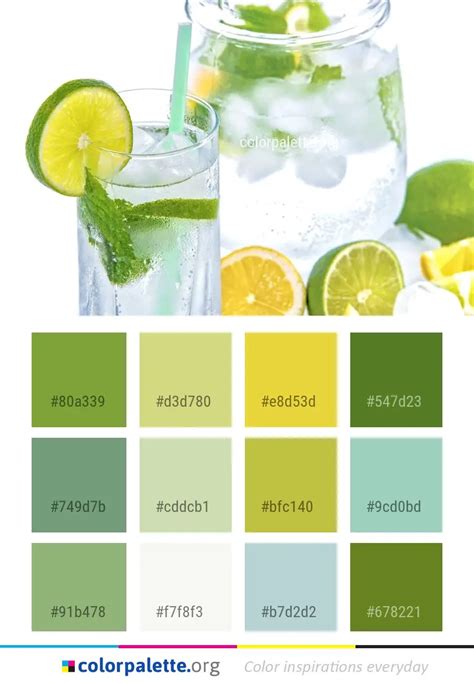 Lime Drink Lemon Color Palette