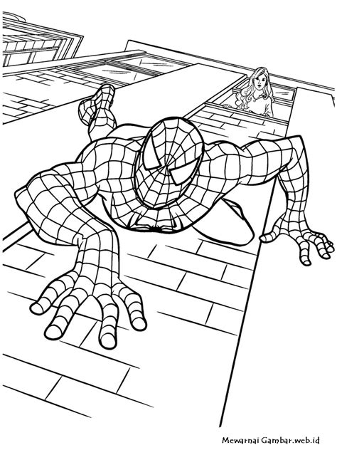 39 Gambar Mewarnai Spiderman Tergokil