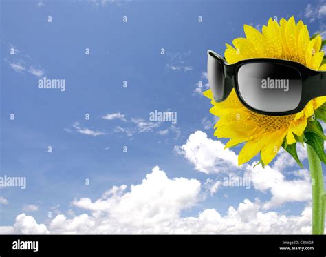 Sunglasses And Sunflower On Blue Sky Stock Photo Alamy