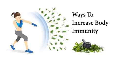 How To Increase Immunity Health And Fitness Owlgen