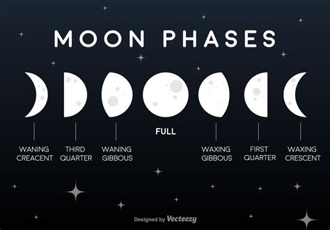 Set Of Flat Lunar Phases Black Background Vector Elements Moon