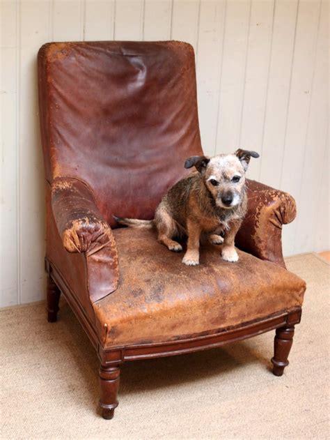 When buying leather club chairs, you must be aware that there are fakes on the market. French Aged Leather Chair | 448316 | Sellingantiques.co.uk