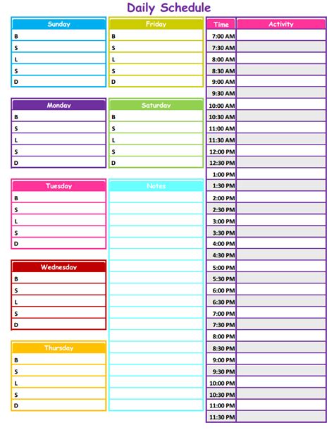 neat tidy daily schedule  printable daily