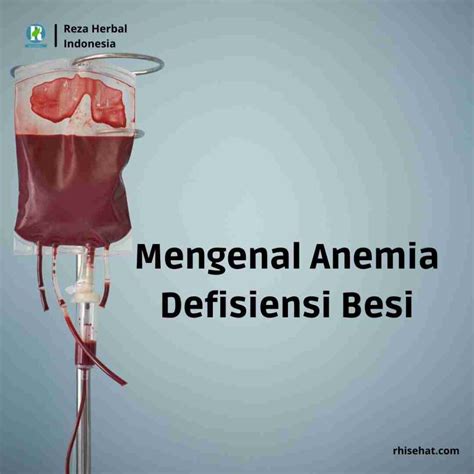 Mengenal Anemia Defisiensi Besi Pengertian Penyebab Gejala