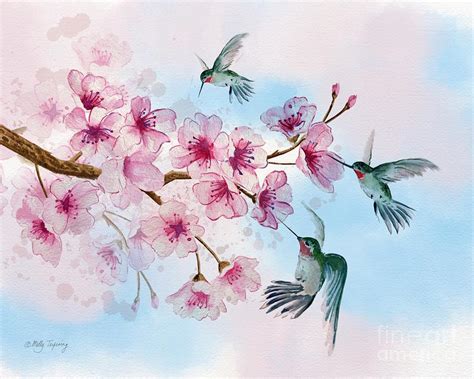 Painting Hummingbird Original Watercolour Cherry Blossom Aquarelle Art