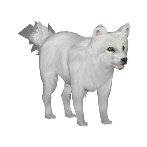 White Arctic Fox Png Transparent Picture Png Mart