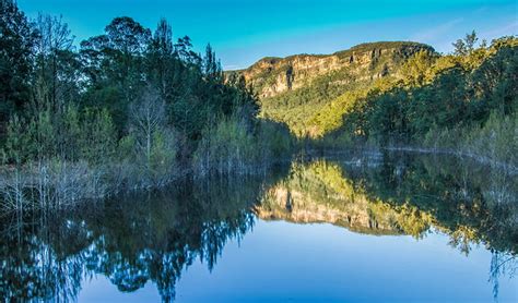 Greater Blue Mountains World Heritage Area Nsw National Parks