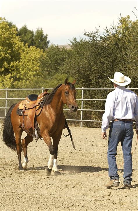 Lunging is where the horse walks, trots and lopes around you. The Benefits of Using a Round Pen | Round pen, Horse ...