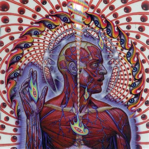 Alex Grey Tool Lateralus