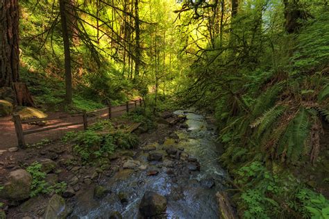 Be sure to call your local district firewood cutting is also permitted on other public and private forestlands. The Top 15 Free Things to Do in Portland, Oregon