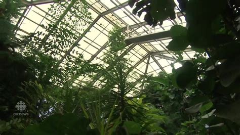 Art Project Gives Voice To Plants At Assiniboine Park Conservatory