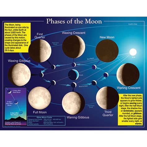 Phases Of The Moon Chart Cd 5858 Carson Dellosa Chartsscience