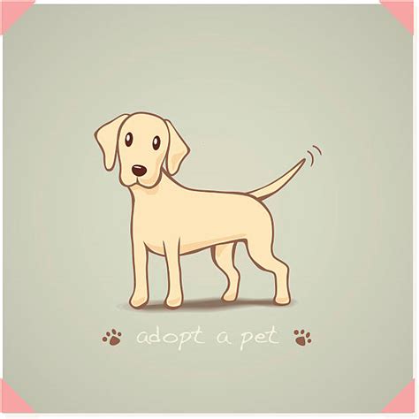 Maybe you would like to learn more about one of these? Best Yellow Labrador Retriever Illustrations, Royalty-Free ...