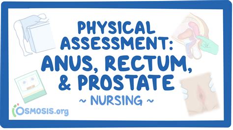 Physical Assessment Anus Rectum And Prostate Nursing Osmosis Video Library