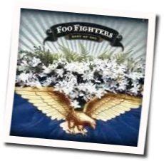 Best of you tab by foo fighters. BEST OF YOU Guitar Chords by Foo Fighters | Chords Explorer