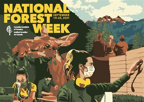 National Forest Week Sept 19 25 2021 Resources And More