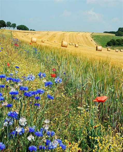 But biodiversity loss is happening at unprecedented rates, impacting human health worldwide. Bioróżnorodność - charakterystyka, różnorodność biologiczna