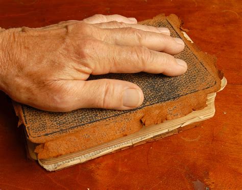 Jewish Treats Hand On The Bible