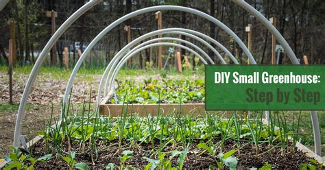 Diy indoors greenhouse under 5. DIY Small Greenhouse: Step by Step | Greenhouse Emporium