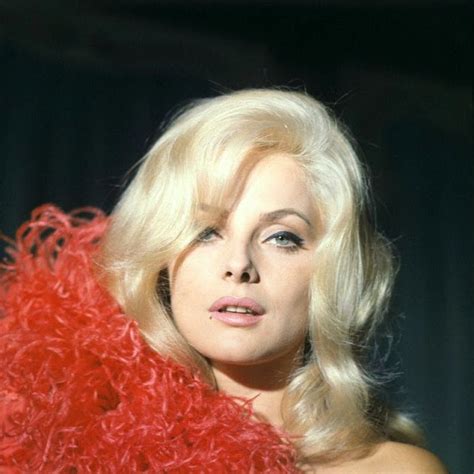 The Perfect Italian Beauty 56 Georgous Photos Of Young Virna Lisi From The 1950s And 1960s