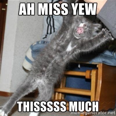 Funny we will miss you saying. miss you meme | Ah miss yew Thisssss much | i miss you cat ...