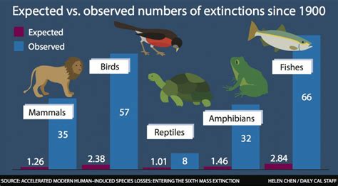 Study Identifies 6th Mass Extinction Event Lists Human Activity As