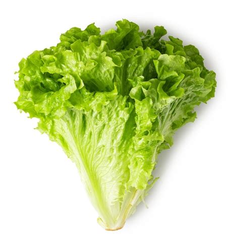 Premium Photo Lettuce Leaves On A White Background