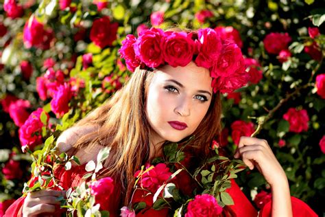 รูปภาพ ปลูก สาว กลีบดอกไม้ ฤดูใบไม้ผลิ สีแดง สีชมพู พวงหรีด ดอกกุหลาบ ความงาม พืชดอก