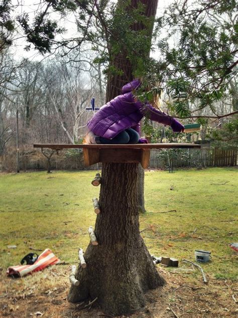 Simple tree fort built in the crook of tree branches of a large tree. Easy Way to Build a Treehouse | Home Design, Garden ...
