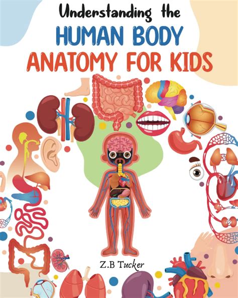 Understanding The Human Body Human Anatomy Made Easy For Kids Buy