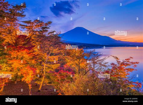 Mt Fuji Japan During Autumn Stock Photo Alamy