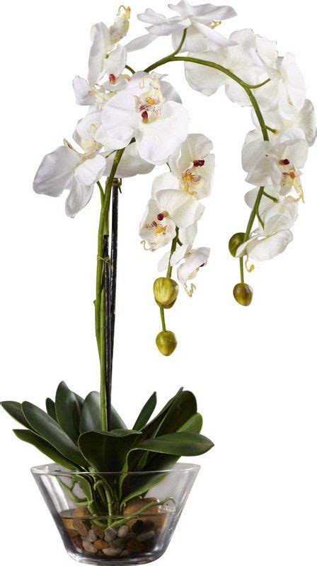 Faux White Phalaenopsis Orchid In Glass Vase Orchid Flower Arrangements Flower Vase