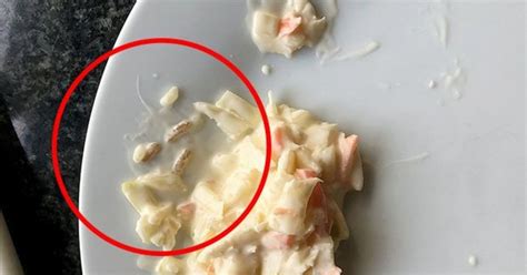 Tesco Shopper Horrified To Find Dead Maggots In His Coleslaw Daily Star