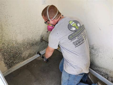 Professional Vs Diy Mold Remediation Pros And Cons