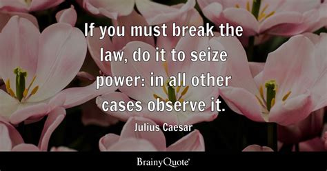 Julius Caesar If You Must Break The Law Do It To Seize