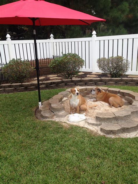 20+ Backyard Ideas For Dogs - MAGZHOUSE
