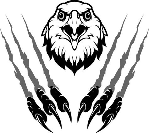 Hawk Talons Drawing