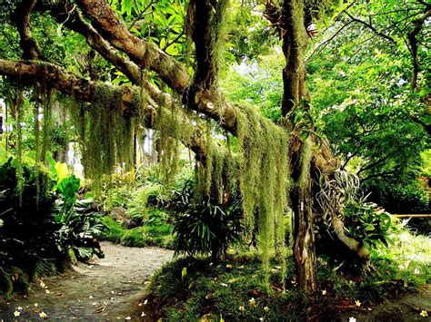 The 15 Most Beautiful Rainforest Photos Mostbeautifulthings