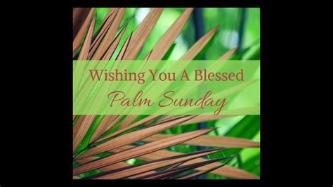 Happy Palm Sunday Bible Verseshorts Youtube