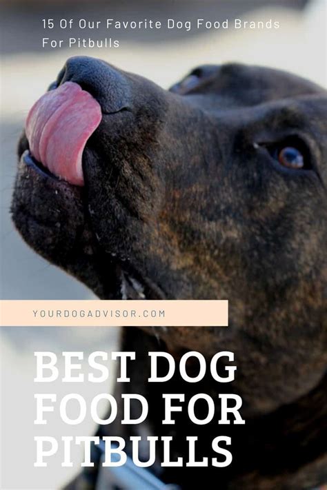 It is fairly high in protein, at 34%, while its fat content is quite low, at 14%. Best Dog Food For Pitbulls | Dog food recipes, Best dog ...