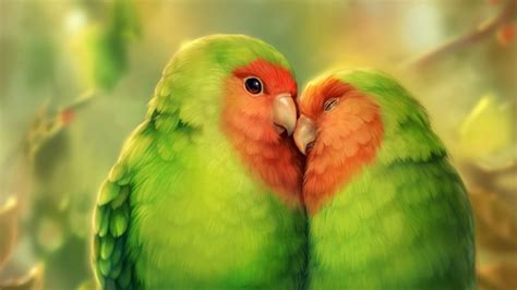 Download Wallpaper 1366x768 Parrots Birds Romance Cute
