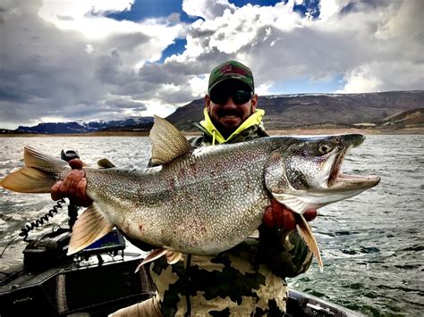 Photos Of Kokanee Salmon Fishing And Reports On Blue Mesa Reservoir In