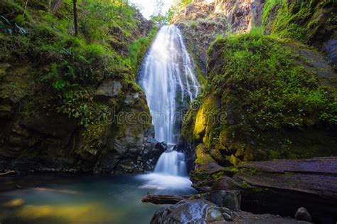Susan Creek Falls Oregon Stock Photo Image Of Hiking