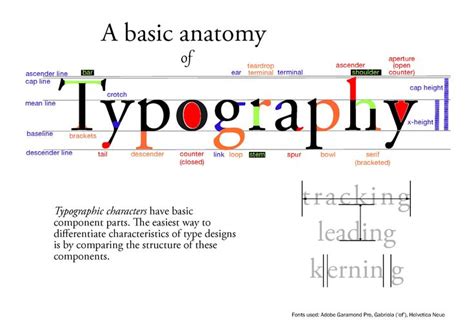 Anatomy Of Typography Google Search Anatomy Of Typography Typography Rules Typography