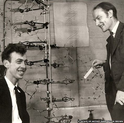 Watson And Francis Crick Structure Of Dna Source Biological Science