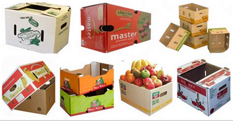 Packaging Corrugated Caron Box For Fresh Food Binh Minh Packaging