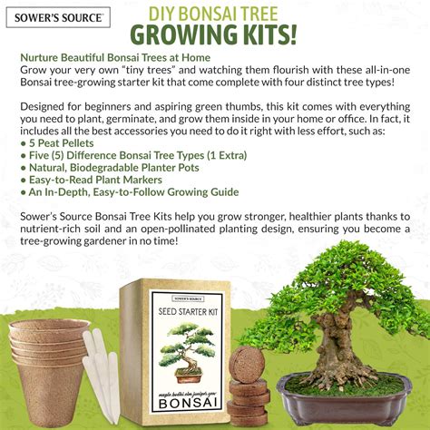 Bonsai Tree Kit - Indoor and Outdoor Starter Seed Kit, Soil Mix